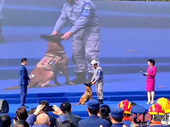 图为启动仪式现场。中新网记者 林玲 摄
